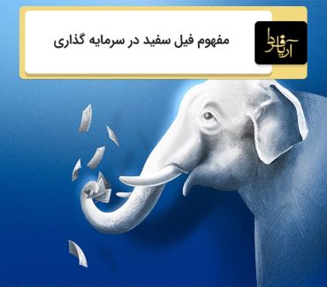 فیل سفید در سرمایه گذاری